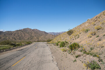 Road through Lake Mead National Recreation Area