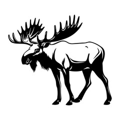 vector silhouette moose on white background, ai generated