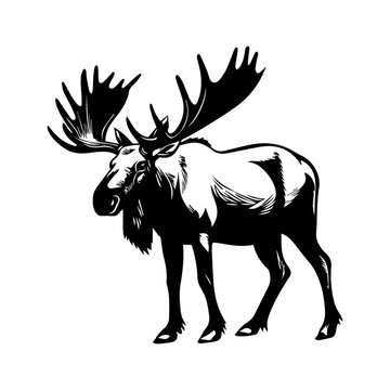 vector silhouette moose on white background, ai generated