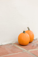 pumpkins on the stone tiles