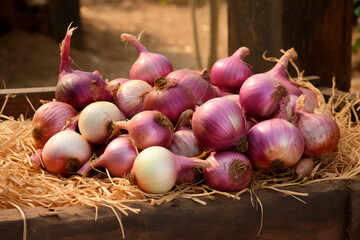 A good harvest of onions. Growing onions. Farm and field. Harvested agricultural crops.