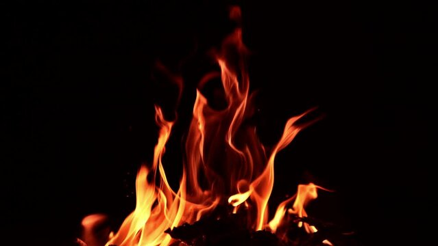 Wood burning in the campfire. Cozy warm view of a beautiful bonfire at night. Close up.