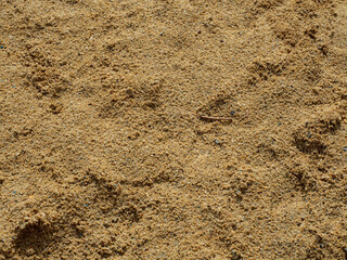 sand background wallpaper empty copy space beach sea backdrop beautiful brown dirty coast dune beige design detail art ocean pattern summer surface holiday travel trip tourism surface vacation stone 