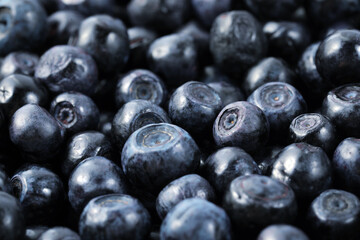 Many delicious ripe bilberries as background, closeup