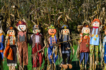 Obraz premium Happy group of smiling scarecrows, cheerful fall celebration for Halloween and Thanksgiving 