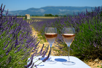 Summer in French Provence, cold gris rose wine from Cotes de Provence and blossoming colorful lavender fields on Valensole plateau, tastes and aromas Provence, France