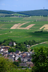 Fototapeta na wymiar View on hilly Sancerre Chavignol appellation vineyards, Cher department, France, overlooking iver Loire valley, noted for its white Sancerre dry savignon blanc wine.