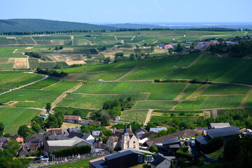 View on hilly Sancerre Chavignol appellation vineyards, Cher department, France, overlooking iver Loire valley, noted for its white Sancerre dry savignon blanc wine.