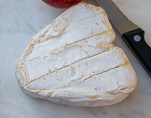 Cheese collection, French cheese from Normandy region, heart-shaped neufchatel close up