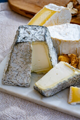 French cheeses collection, Perail les Buissieres sheep cheese, neufchatel cow milk cheese, tomme de...