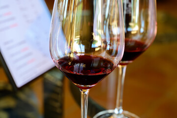 Tasting of red dry wine in Chateauneuf-du-Pape wine making village in France with green vineyards on large pebbles galets and sandstone clay soil