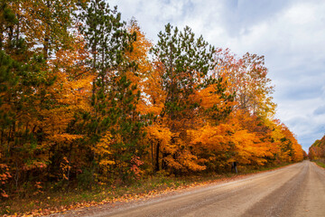 gravel road in the countryside on a beautiful fall day., Colourful fall foliage in the forest, Canadian autumn.