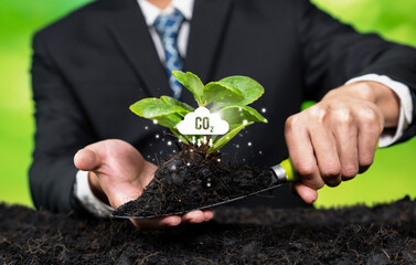 Business investment in reforestation, businessman growing young seedling plant on soil as ESG...