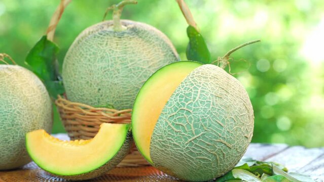 Cantaloupe melon with leaves in blur background. Sweet Orange Melon with leaf on green bokeh background.
