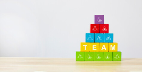 Business team building , Human Resource Management and Job Hiring Recruitment concept