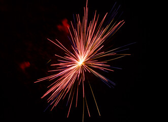 Fototapeta premium floral burst pattern of red fireworks at night