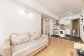 Loft studio apartment with an open kitchen with white furniture, a small glass brick partition and a printed fabric sofa.
