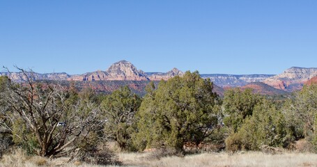 landscape of mountains and trees