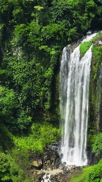Waterfalls surrounded by tropical forest. Lasang Falls. Bukidnon, Philippines. Vertical, stories.