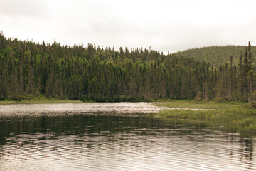 vue sur une forêt en bord de lac lors d'une journée d'été avec des nuages dans le ciel et une colline en arrière plan