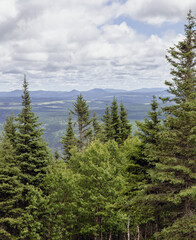 vue en hauteur d'une vallée avec des sapins verts en avant plan lors d'une journée ennuagée d'été