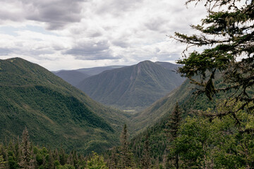 vue en hauteur sur une vallée avec une montagne derrière et une forêt de conifères en été lors d'une journée ennuagée