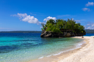 beach with sky