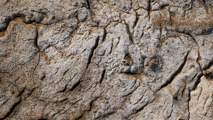 cracked dry soil texture. the surface of the land is mixed with sand near the beach