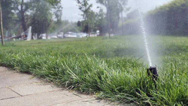  automatic watering grass, garden lawn sprinkler in action.