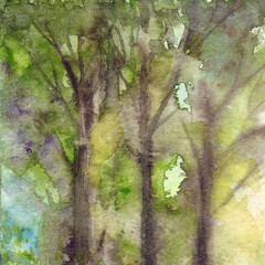 Morning sunlit foliage of trees in the forest wood in nature. Hand drawn watercolor illustration art - 664190249
