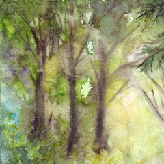 Morning sunlit foliage of trees in the forest wood in nature. Hand drawn watercolor illustration art - 664190284