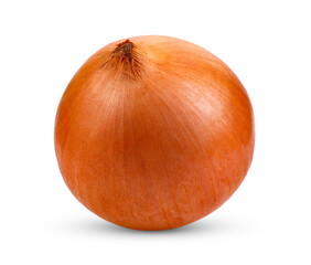 Onion bulbs isolated on transparent png