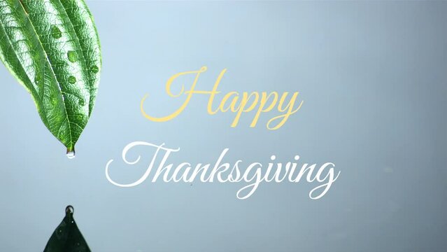 Animation of happy thanksgiving text banner against close up of a water drop falling of a leaf