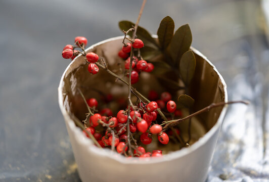 vaso conteniendo frutitas rojas silvestres aguaribay