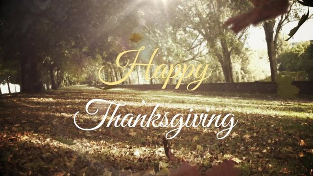 Animation of happy thanksgiving text banner over maple leaves falling against forest park