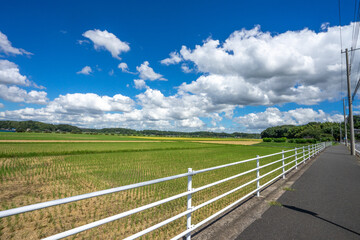 田園風景