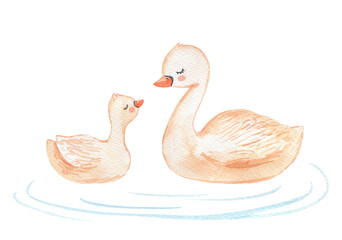 Watercolor beige cute baby swan and mama. Hand drawn cartoon illustration for kids. © Elena