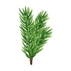 Christmas tree branch 3D. Green pine, evergreen plant. Winter holiday element for decoration, design of banner, card, poster. Isolated Christmas tree branch on white. Vector illustration.
