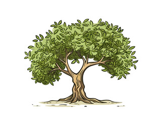 Doodle Olive tree, cartoon sticker, sketch, vector, Illustration, minimalistic