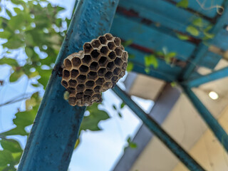 A brown bee hive attached to a metal is a sight to marvel at for anyone who appreciates nature’s...