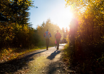 walk path hiking walking nature trail park hike autumn morning hikers exercise