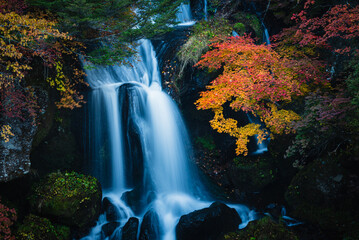 紅葉と奥日光龍頭の滝の流れ