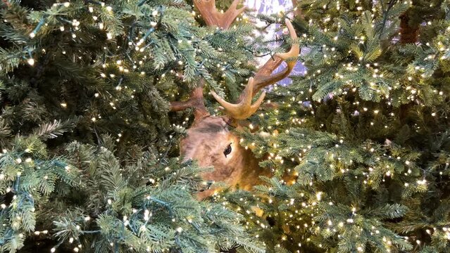 Representation of reindeer on christmas tree