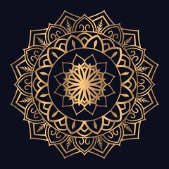 Mandala pattern design with background temple vector illustration icon vector