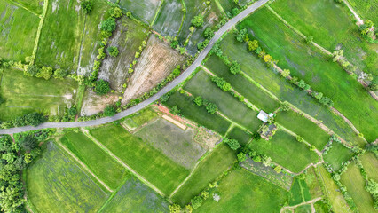 The texture by Drone view with rice plantation the landscape view of rice terraces in the morning at Chiangmai, Thailand