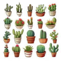 Fotobehang Cactus in pot The Cactus set on white background. Clipart illustrations.