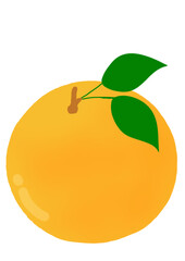 orange fruit 