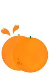 orange fruit 