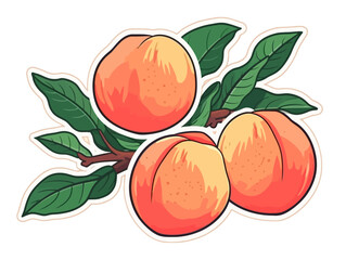 Doodle Peaches, cartoon sticker, sketch, vector, Illustration, minimalistic