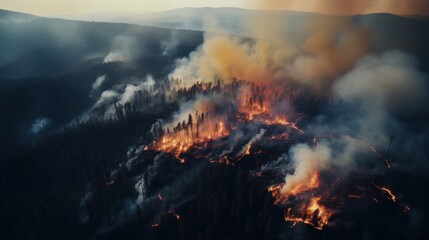 Great wildfire burning the a large forest, global crisis of climate change, protecting the world from global boiling crisis.